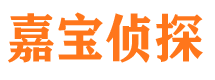 横峰市侦探调查公司